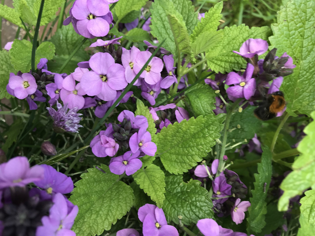 652F9770-B88E-4006-85B5-41A3C6E8291B