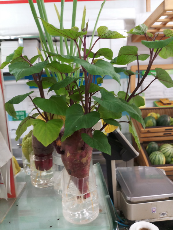 [Image: 20200612-154242.jpg]