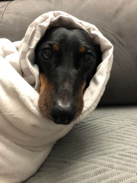 [Image: 370258962-886638892847734-7336410928409012846-n.jpg]