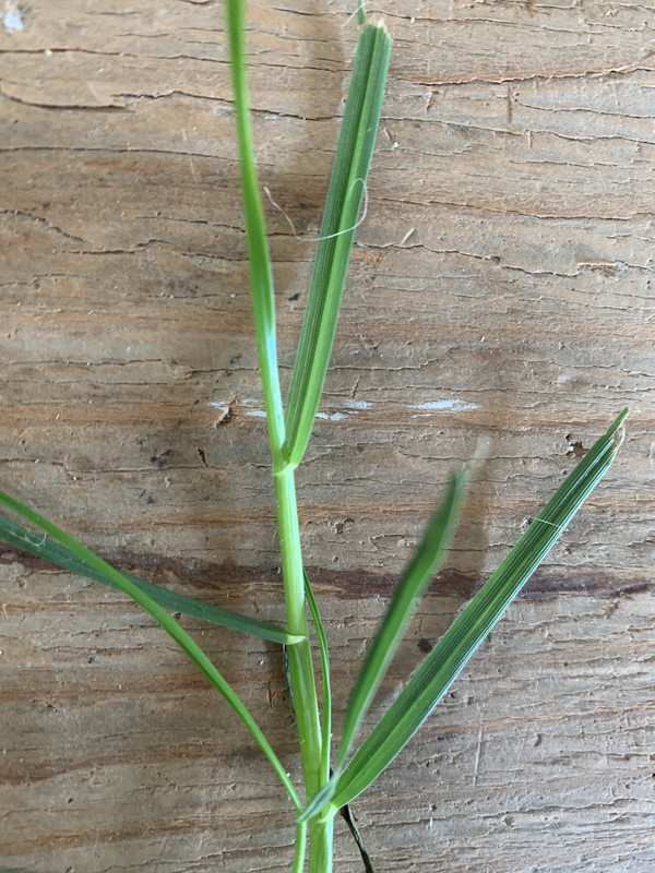 41463CD8-906D-40C8-8049-90B801782803