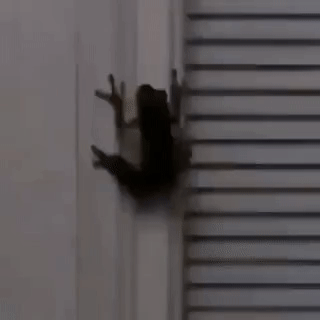 GIFs-23