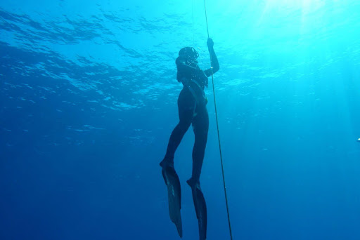 Fascinating Facts About Undersea Bridges