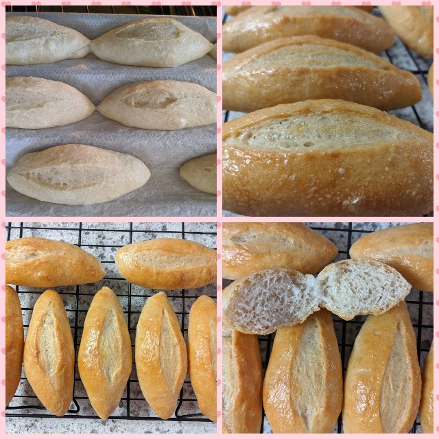 [Image: Photo-Grid-1586370672692.jpg]