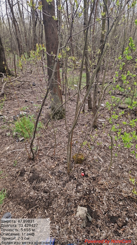 photo 2026 04 11 18 42 23