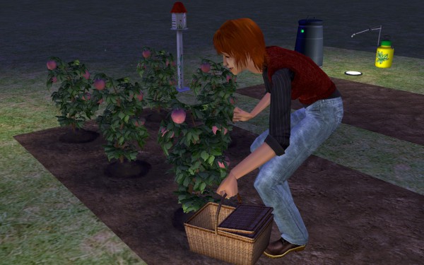 Lakewood_round3_094-600x375