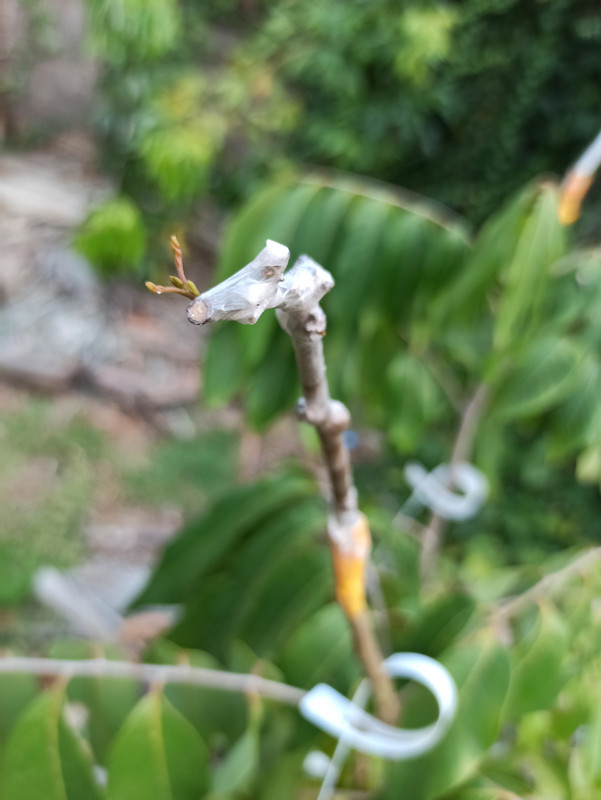 IMG_20200719_211126[1]