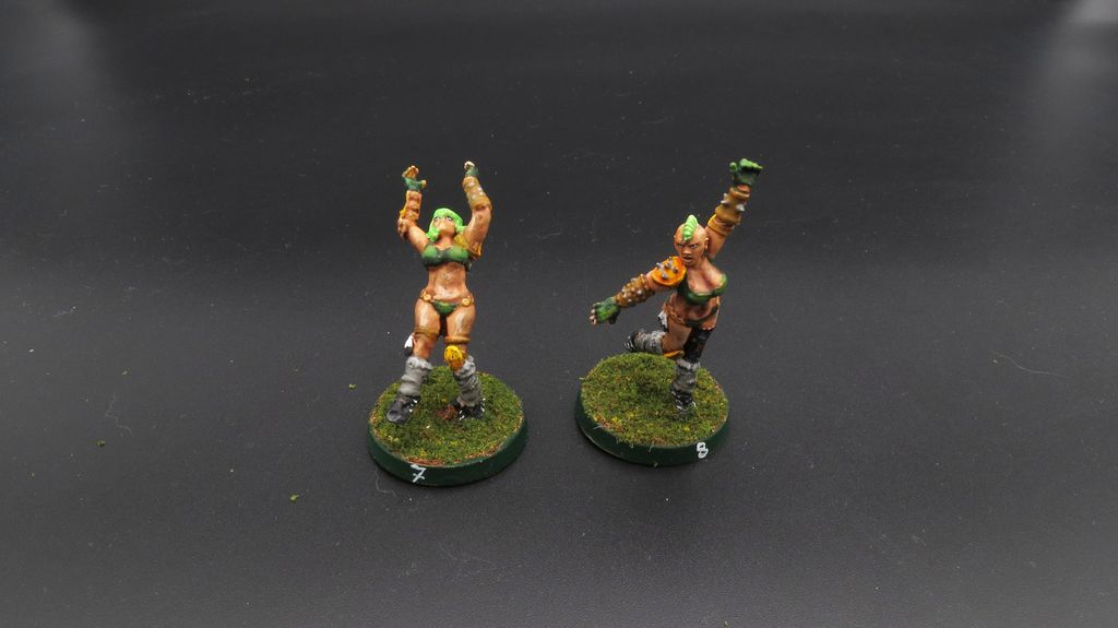 [Commande] Bloodbowl Benoch équipe d'amazones CURVE-IMG-2301