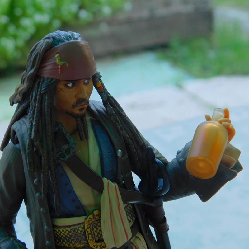 Дачно-Харлинский июнь-июль 2024 434