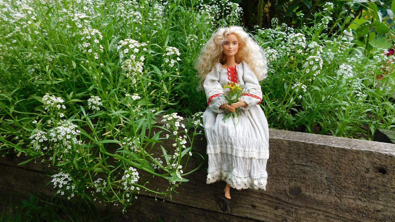 Дачное июль кудряшка , маус-машина и природа 039