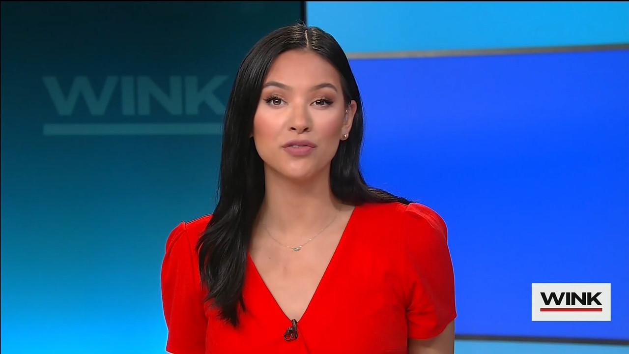 WINK News at 11 00 p.m. 2022_08_25_04_00_00.ts_snapshot_25.29.687