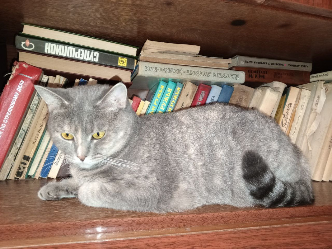 IMG_20241217_022542_644