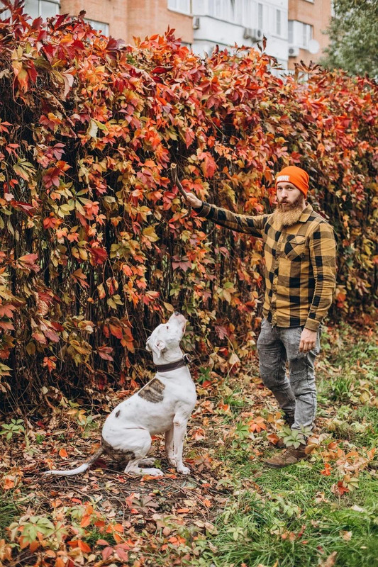 27DA50FD-A323-4D6E-9FF5-DF5C7EB0CFDE