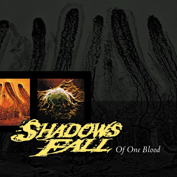 [Image: Shadows-Fall-Of-One-Blood-2000.jpg]