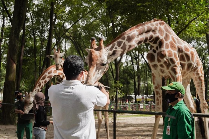 Menteri Pariwisata dan Ekonomi Kreatif, Sandiaga Uno, melakukan peninjauan di Taman Margasatwa Ragunan pada Sabtu, (1/1/2022).