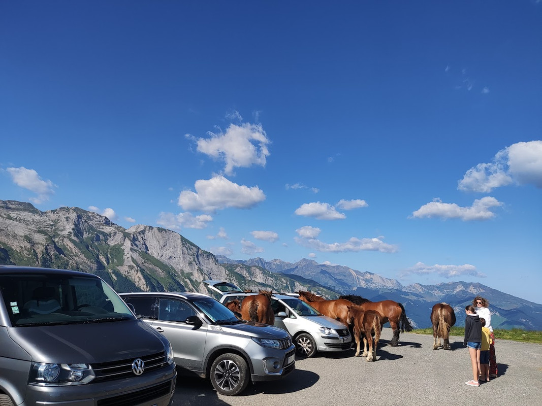 09IMG_20230729_102405