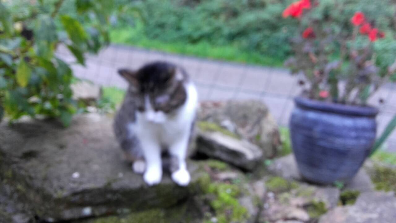 DFA20EE7-B6CC-4380-8BA4-4F5E801827AE