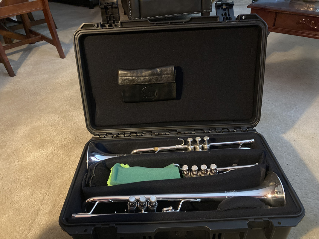 Mouthpiece and Pipe Transport