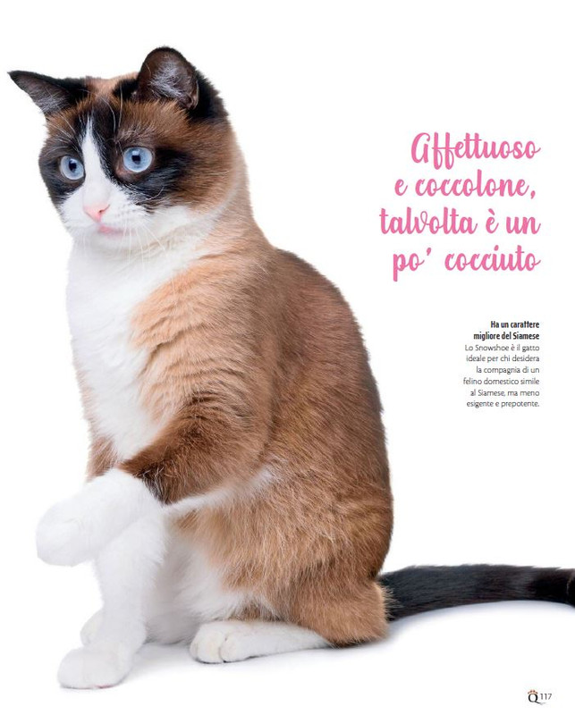 QuattroZampe Apr 2022 (11)