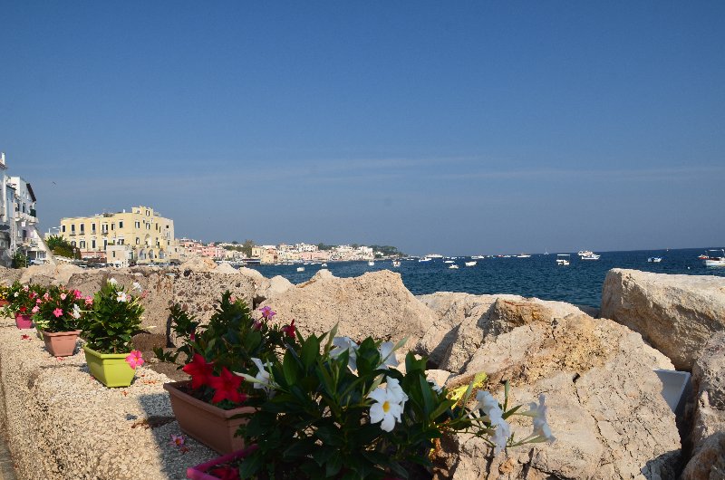 Italia y sus pueblos-2018/2019/2023 - Blogs de Italia - ISLA DE ISCHIA-21-9-2018 (34)