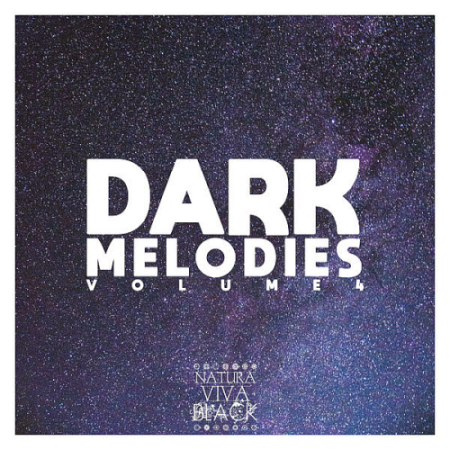 VA - Dark Melodies Vol. 4 (2021)