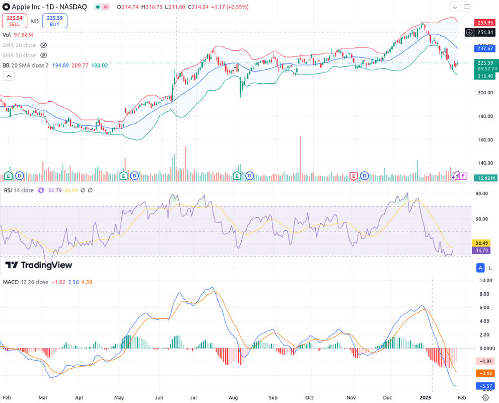 apple-2025-quotazione-1-anno-tradingview