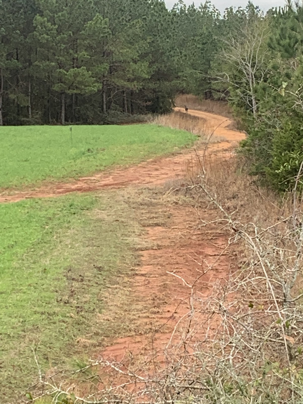 C7B8EA59-589D-45D5-8656-338FA73E7A6A