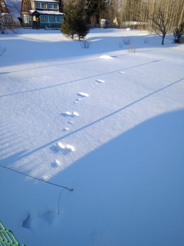 85B2C522-233C-437A-9915-E97B163FED70