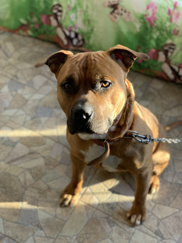 040A24E0-10BE-4104-839D-E1E78346D7A2