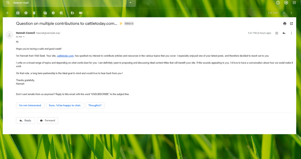 wellseek email