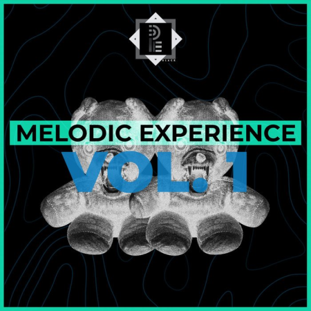 Melodic Experience (Re-Master 2021) (2021)