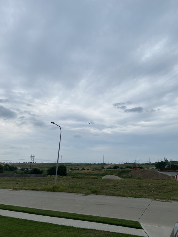 B291D274-1778-4783-AD84-89868D14FD71