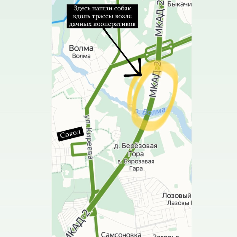 C602C05C-79AF-453C-B0FB-C8D0615789D2