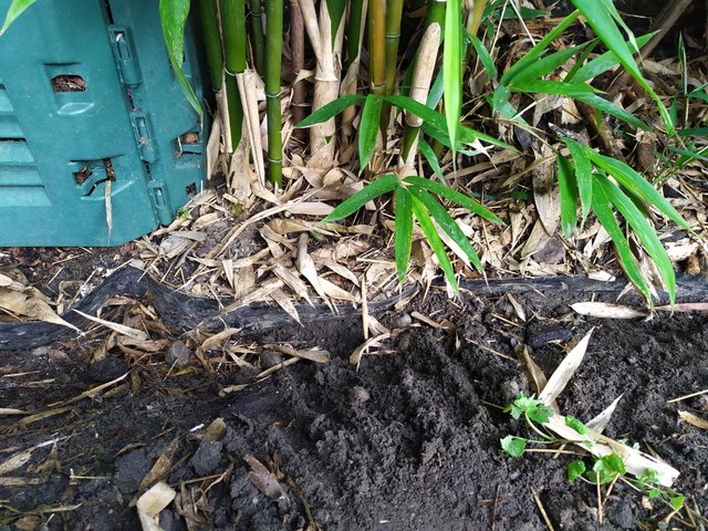 WhatsApp Image 2022-02-19 at 09.27.25(1)