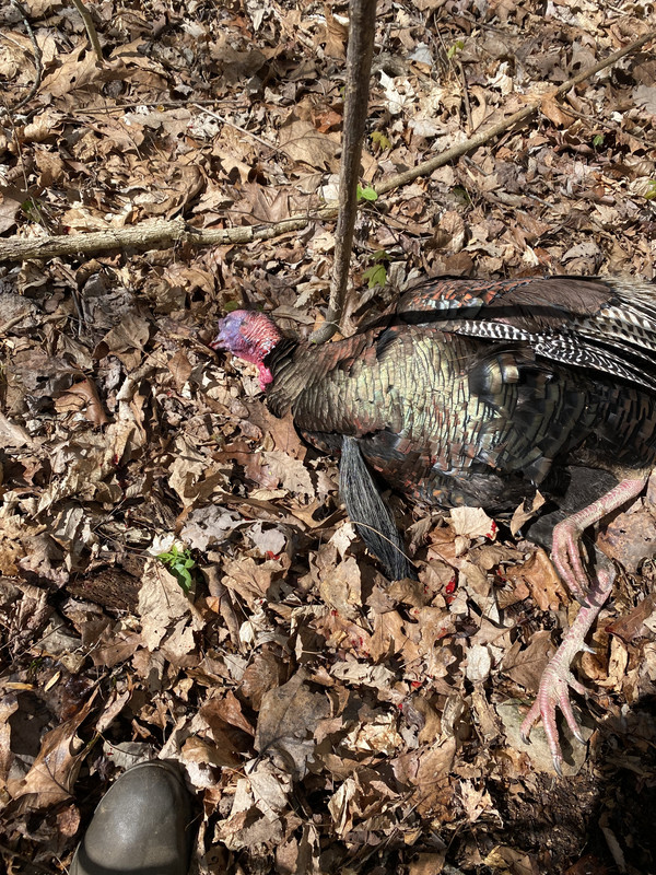 2E903849-6CF7-48B7-8DC9-82300AA25010