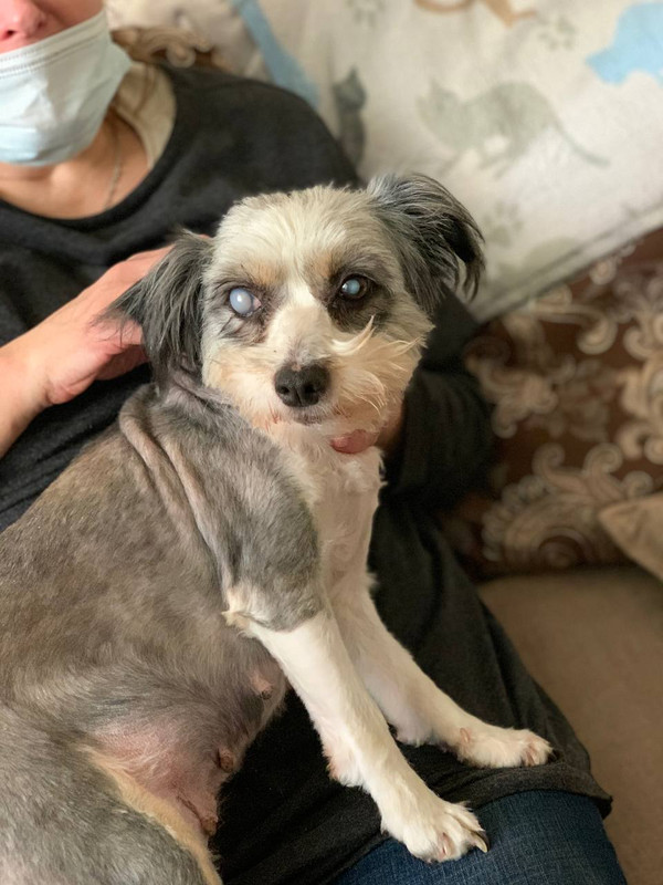 4231D615-EE83-49FF-A3E6-FB1A082052EA