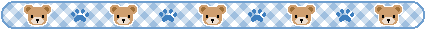 bear divider