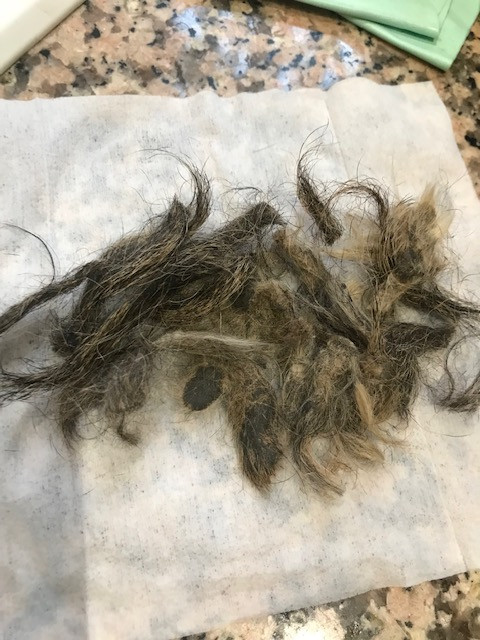 [Image: IMG-2232.jpg]