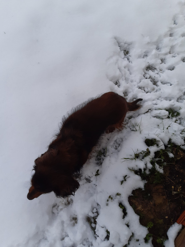 [Image: 20210117-104517.jpg]