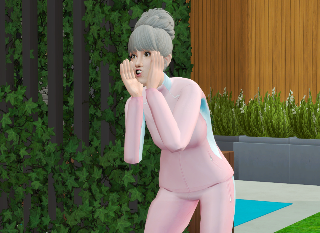 Sims2-EP9-RPC-2024-03-24-13-46-32-53