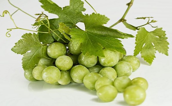 Can Conures Have Grapes