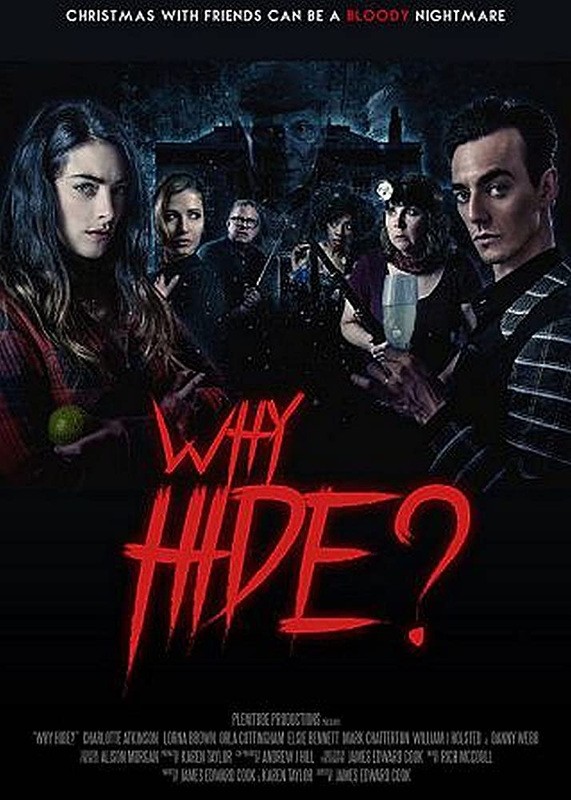 Why Hide? 2018 Hindi Dual Audio 300MB HDRip Download