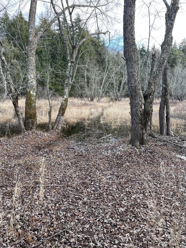 B93B396E-D8EE-4582-87A6-0909CC4FC62B