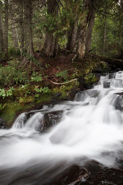 Parque Nacional de La Mauricie - DOS SEMANAS EN EL ESTE DE CANADÁ (ONTARIO Y QUÉBEC) (21)