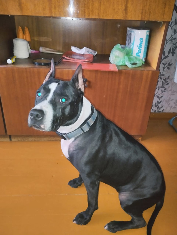 4FB93074-D312-42DC-AF34-D88A233A6310