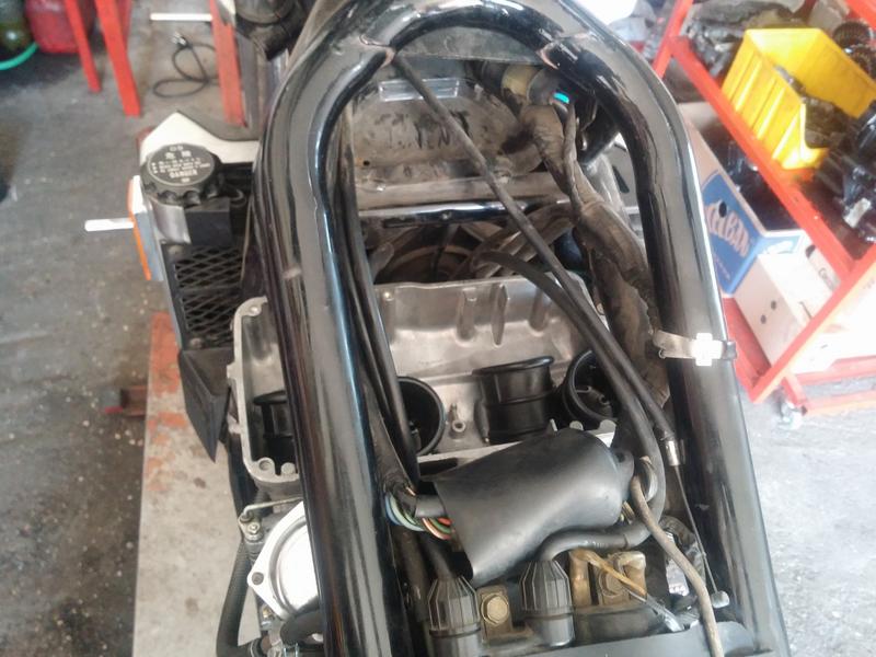 CAM02474