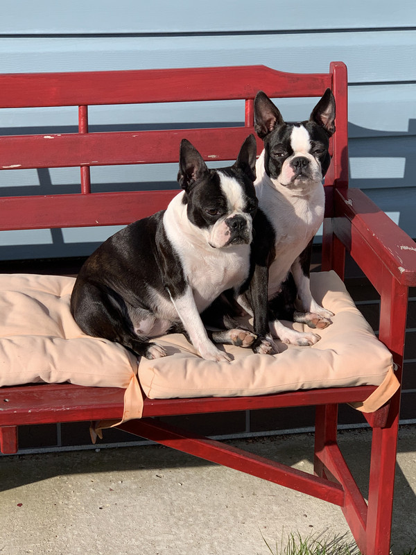 9D0224BE-F24C-4E7A-80FF-0C0D3A73FE52