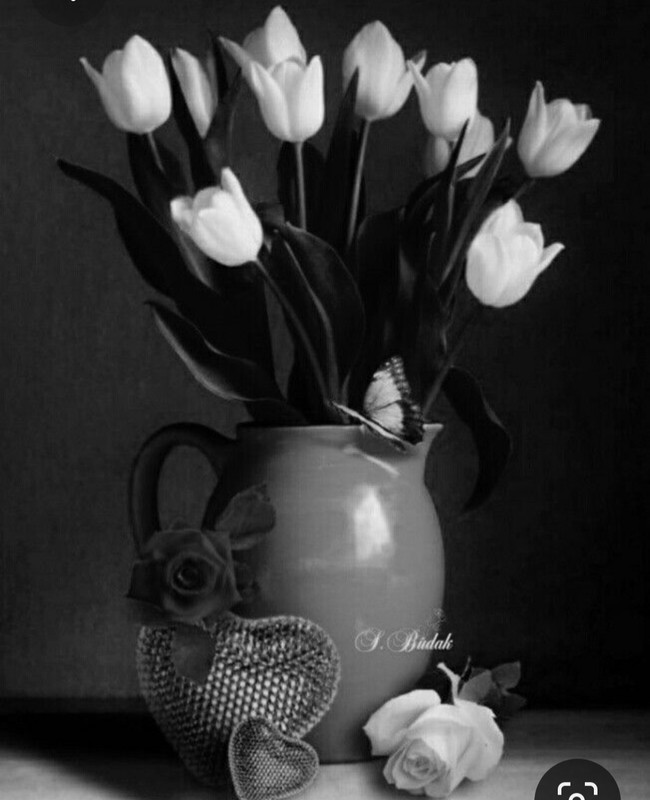 Screenshot_20230401_234722_Pinterest