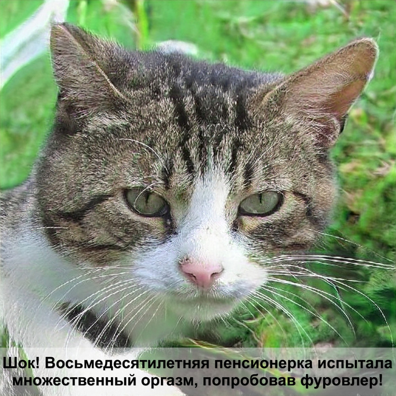 кошка бросила котят