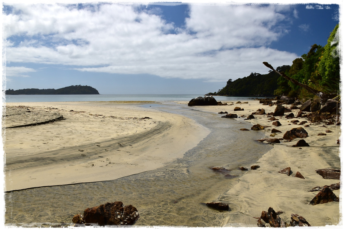 Escapadas y rutas por la Nueva Zelanda menos conocida - Blogs de Nueva Zelanda - Stewart Island:  kiwis, Coast to Coast y unos días en Oban (febrero 2021) (43)