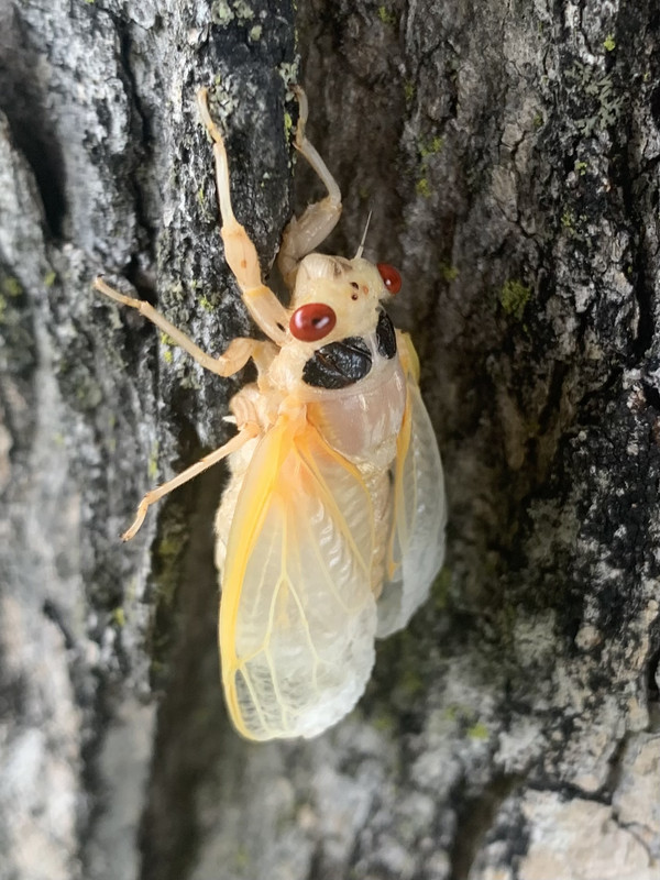 11FD4EED-E15E-4433-B1E8-7B3659296047